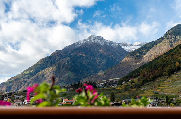 Garni Ganthaler*** - A7403644